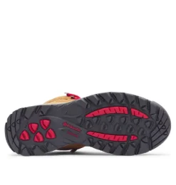Clearance Newton Ridge™ Plus Women's Hiking Boot Women Women's Hiking