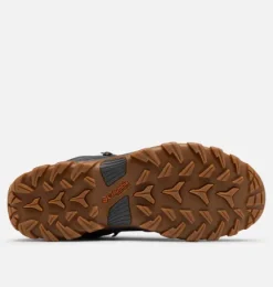 New Newton Ridge Plus II - Mens Men's Hiking|Men's Boots